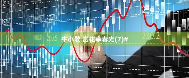 牛小散 赏花享春光(7)#