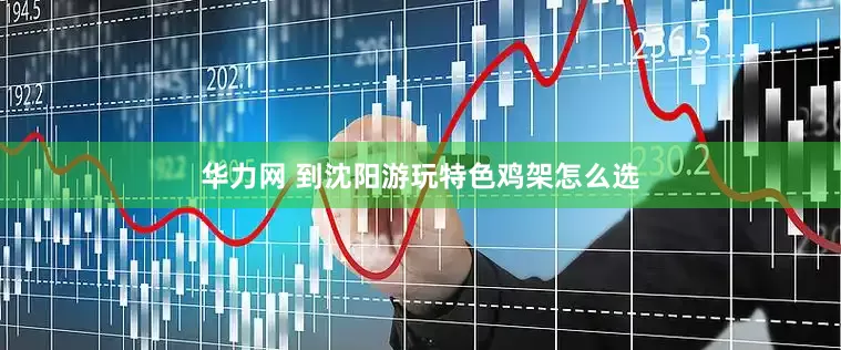 华力网 到沈阳游玩特色鸡架怎么选